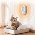 Pet Odor Eliminator