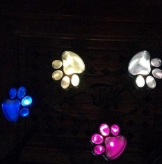 Solar Paw Light