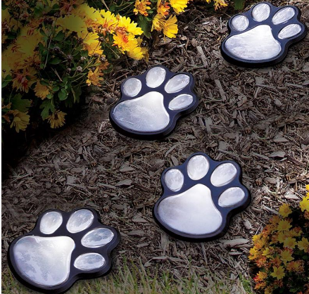 Solar Paw Light